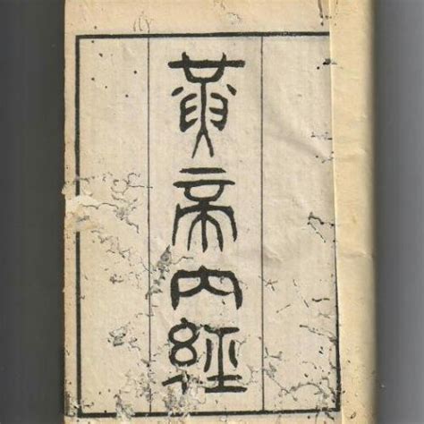 七沖門|《中醫詞典》解釋「七沖門」的意思